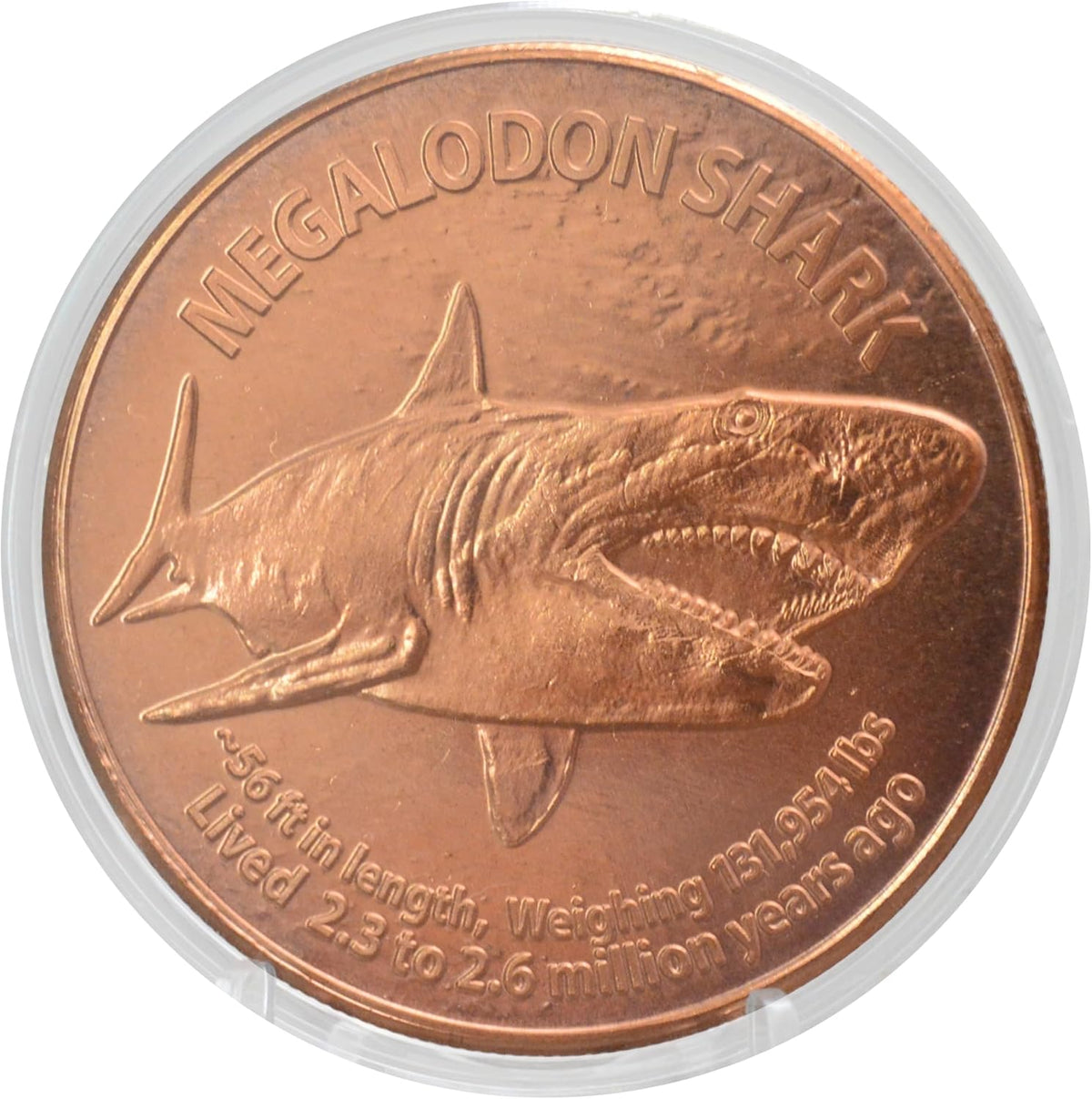 1 oz Megalodon Copper Round & Capsule