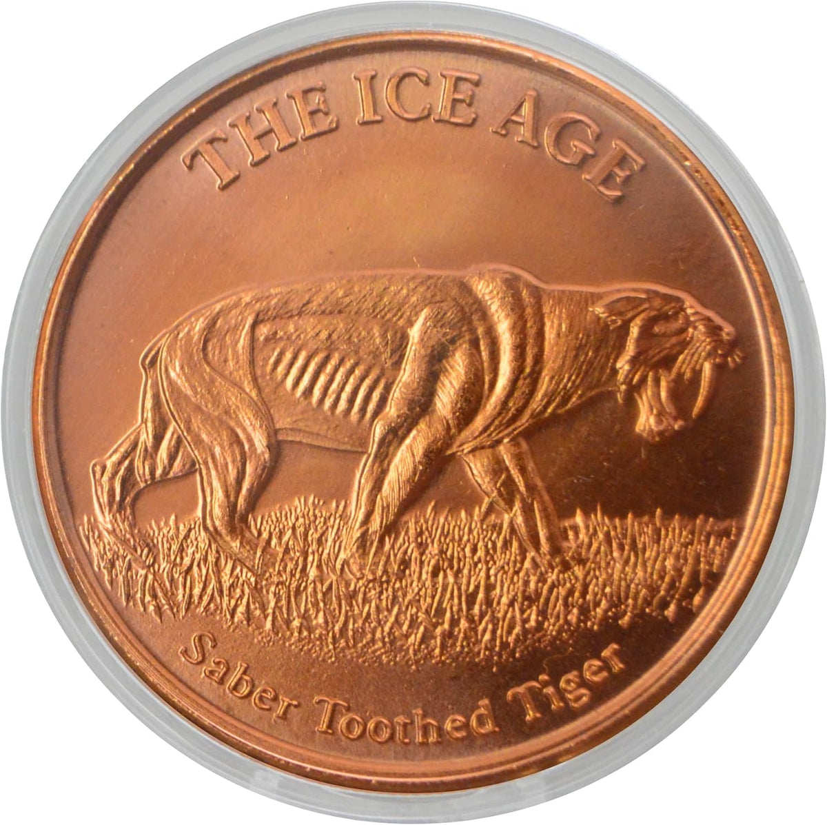1 oz Saber Tooth Tiger Copper Round & Capsule