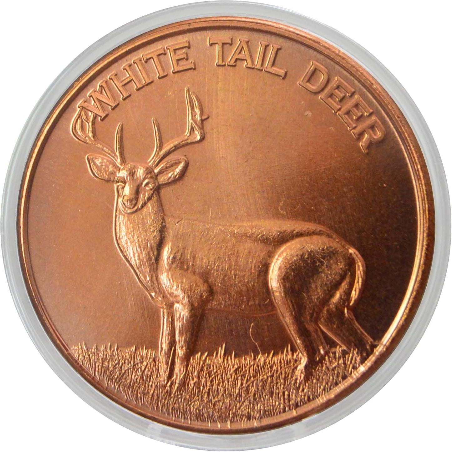 1 oz Whitetail Deer Copper Round & Capsule